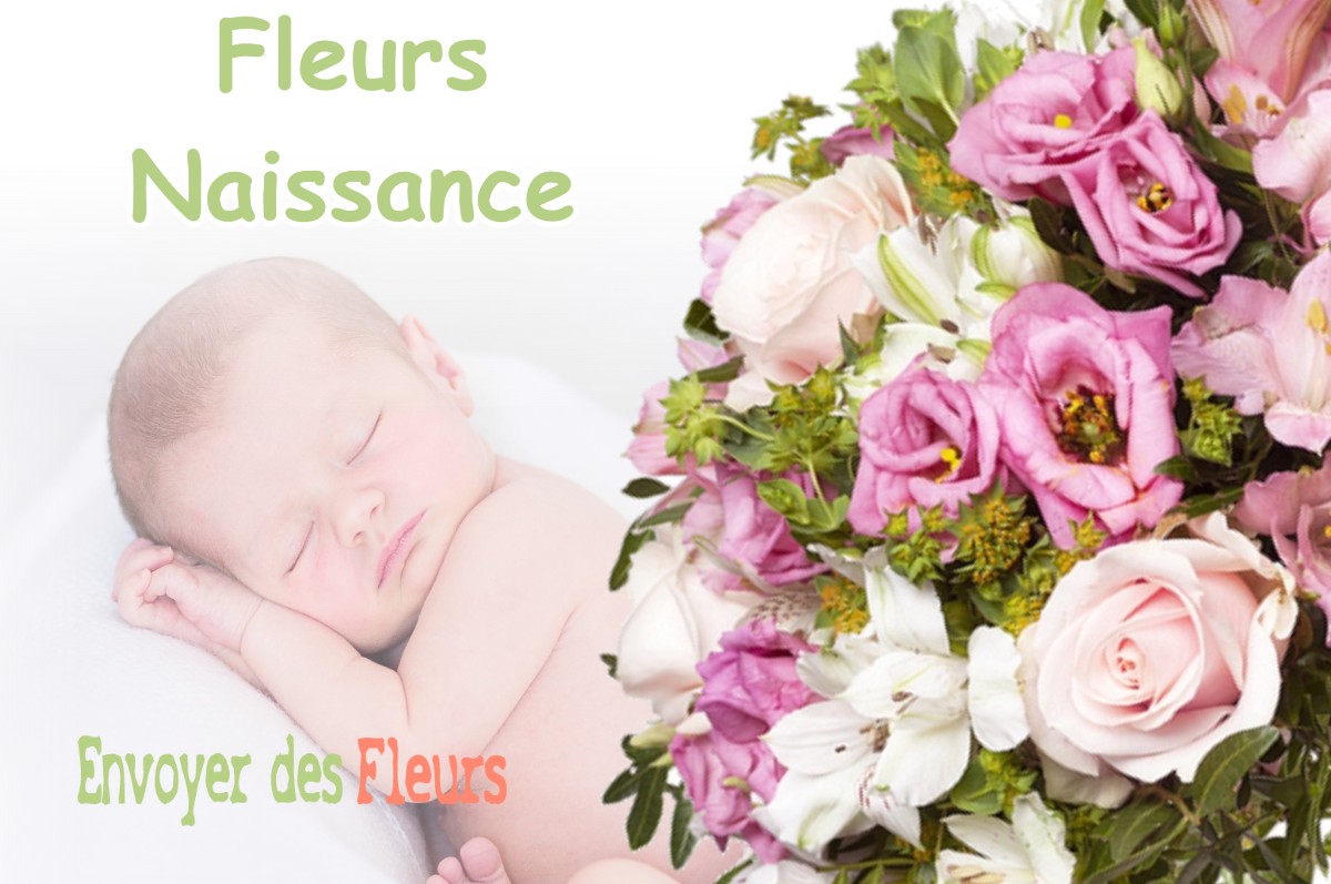 lIVRAISON FLEURS NAISSANCE à FRASNE-LES-MEULIERES